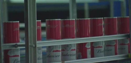 溫州印刷包裝企業(yè)求變創(chuàng)新 裝潢印務成轉型升級突破口