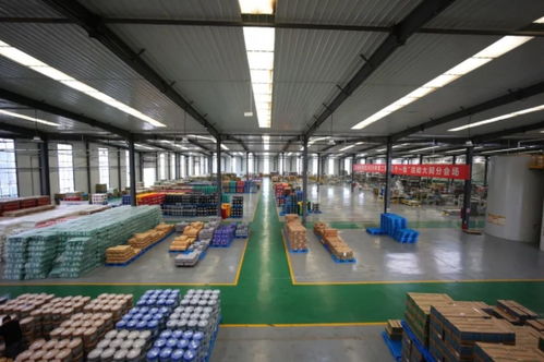 英萊殼智慧工廠 超凡技術全解密與四川技術服務優勢